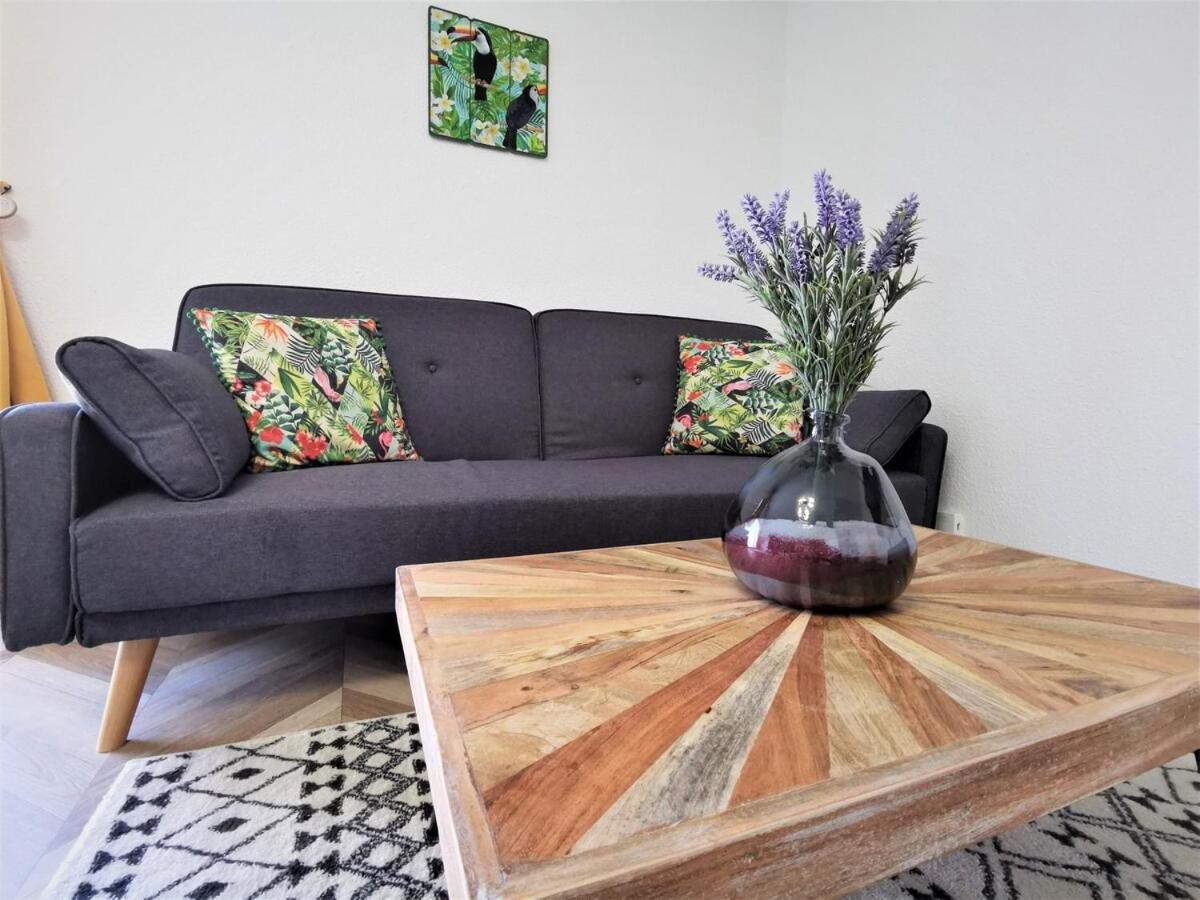 T2 Cosy ₪ Residence Securise ₪ Airbus ₪ Piscine コロミエ エクステリア 写真